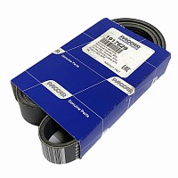 Ремень поликлиновой 9PK1356 DAF Paccar | ТопДизель