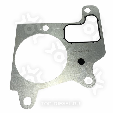 DSG3682673 ПРОКЛАДКА КРЫШКИ ТЕРМОСТАТА (Под 1 шт) CUMMINS ISX EGR DSG купить