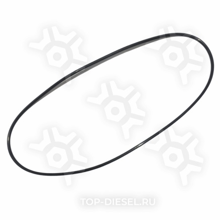 03116000A Кольцо уплотнительное задней ступицы резиновое 255x5 Mercedes Benz PE купить