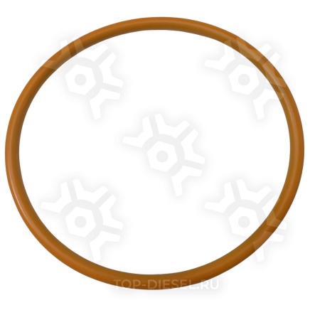 FP1090077 Кольцо уплотнительное теплообменника Caterpillar C-15/3406 Freightliner/International FP DIESEL купить