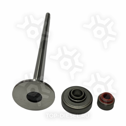 A23507504 Клапан впускной Detroit Diesel без EGR мск, сухари Freightliner/International McBEE купить