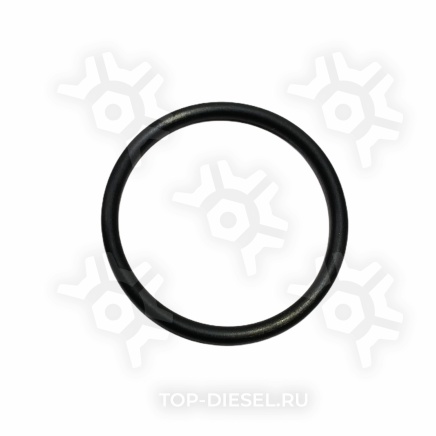 3073920 Уплотнительное кольцо Cummins 3073920 купить