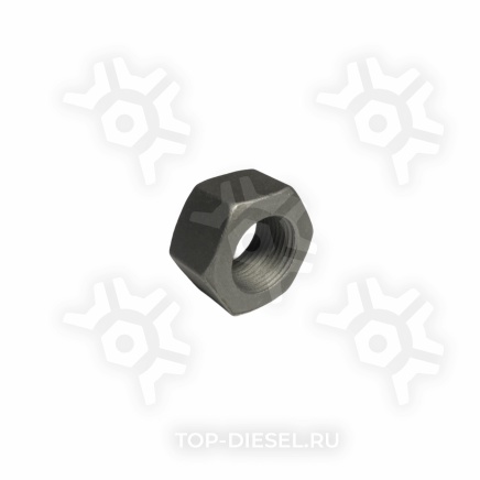 8902066SX Гайка стремянки M20x1.5 H=16 SW30 Mercedes Benz NG 1926/1932, MAN Stellox купить рис.2
