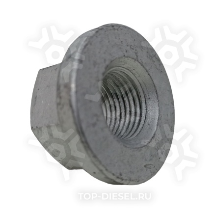 SK272000501 Гайка болта амортизатора M16x1.5 Schmitz S&K купить рис.2