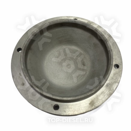 719108 Крышка ступицы DAF XF95 Errevi купить рис.2