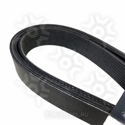 9PK2338HD Ремень приводной поликлиновой 9PK2338 КАМАЗ-5490 Mercedes Benz Dayco купить рис.3