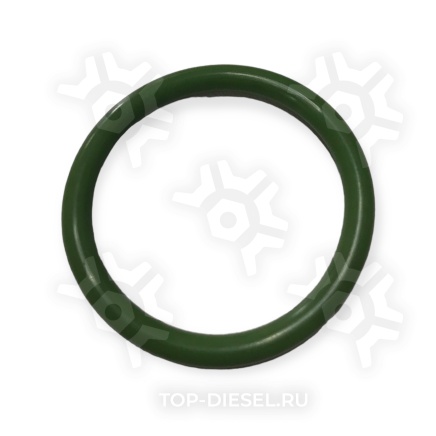 115863 Кольцо уплотнительное теплообменника резиновое 30x3.5 DAF Sampa купить