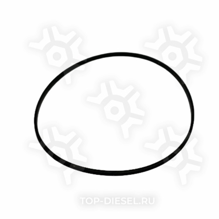 4386754 Кольцо уплотнительное стакана форсунки Cummins ISX Freightliner/International CUMMINS купить