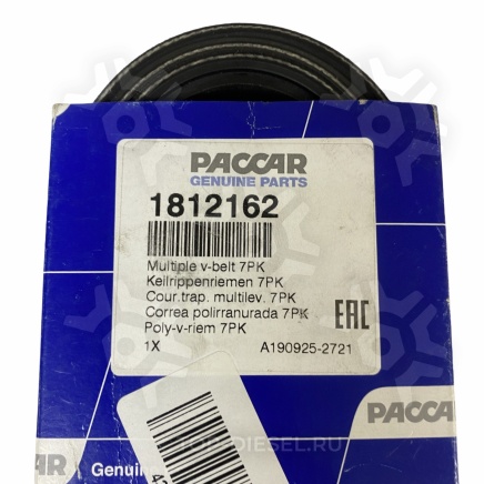 1812162 Ремень поликлиновой DAF CF/XF85/95/105 IV Paccar купить